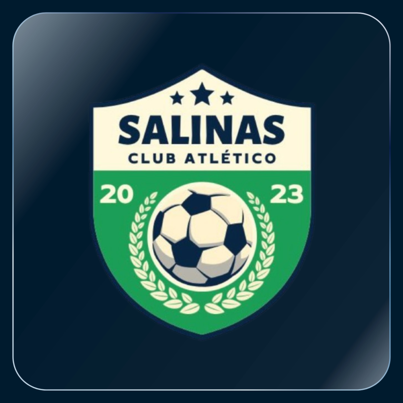 Logo de SALINAS FC